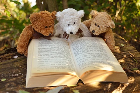 Three small teddy bears sharing an open book