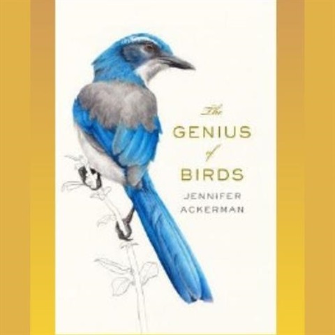 “”A book with a Blue bird on it entitled “The Genius of Birds” by Jennifer Ackerman on a gold background.