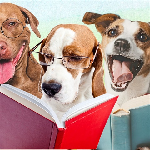 “”Beagle with glasses and a book with a terrier and a pit bull reading their own book. 