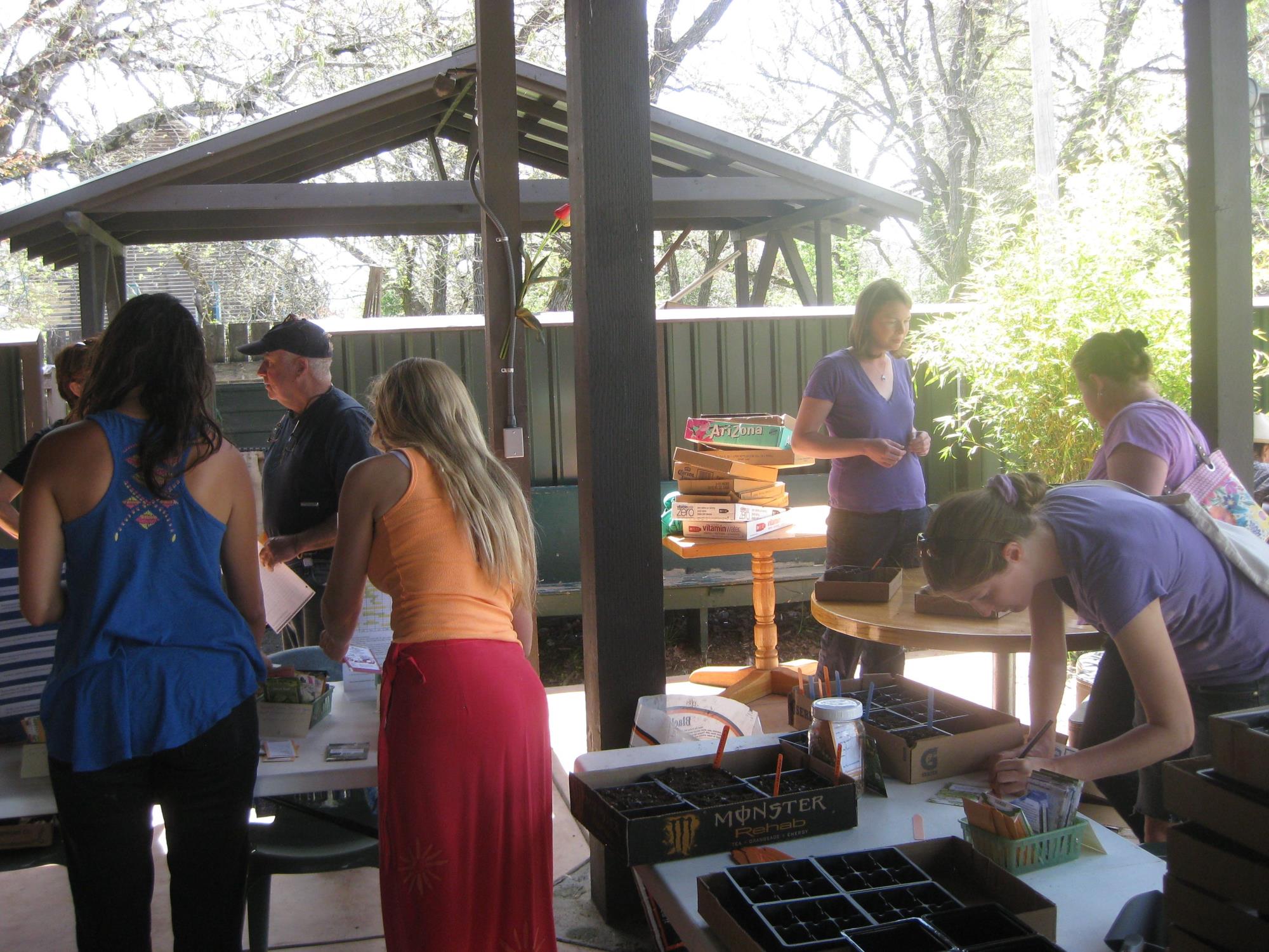 Group of people outside planting seeds in soil at tables.