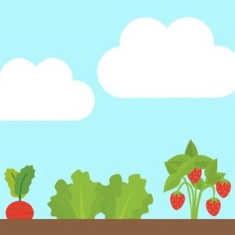 “”A beat, lettuce, and a strawberry plant growing again a blue sky with clouds. 